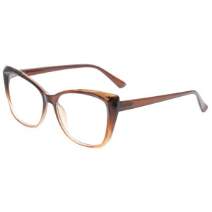 Plastic Reading Glasses